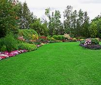 Rasen vertikulieren, Gartenpflege, Rasepflege