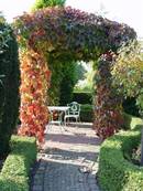 Gartenpflege: Formgehölze