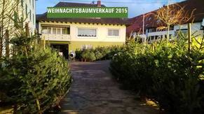 Weihnachtsbaumverkauf